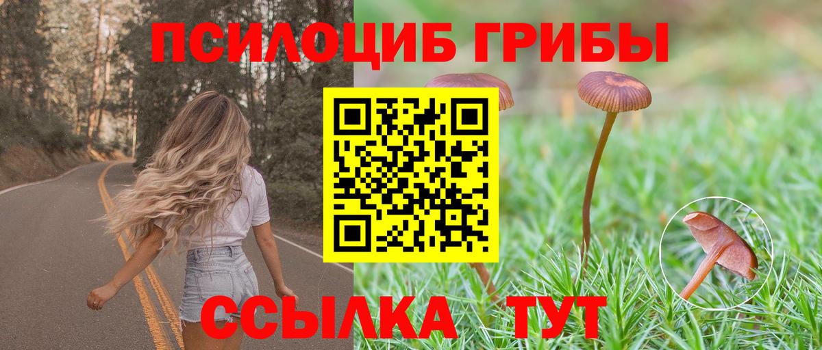 Псилоцибиновые грибы Psilocybe  Вход с VPN  Тында  Галлюциногенные грибы ЛСД 