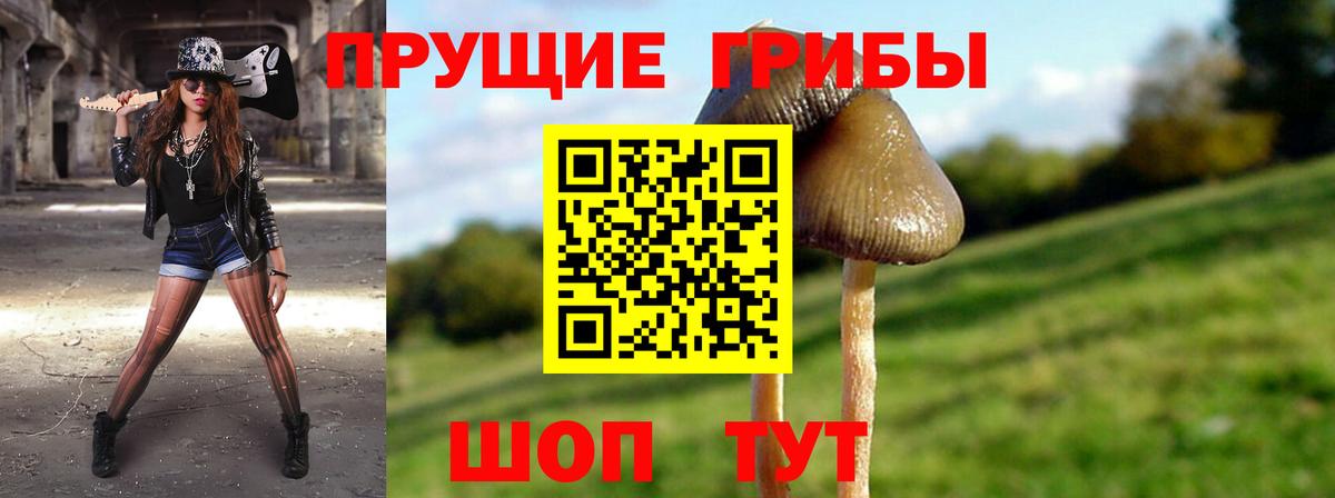 Мефедрон кристаллы  Тында  ГЕРОИН  Сколько стоит  МЕФ  Конопля  Вход с VPN  МДМА 
